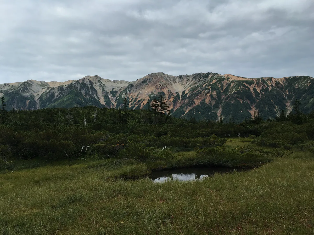 小さな池塘のある湿原、その向こうに山の稜線