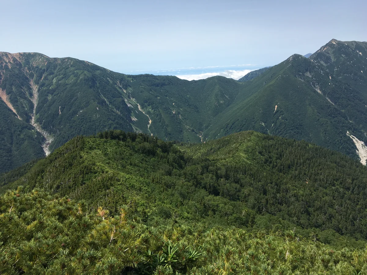 ハイマツ、潅木、高木の生えた尾根を見下ろす