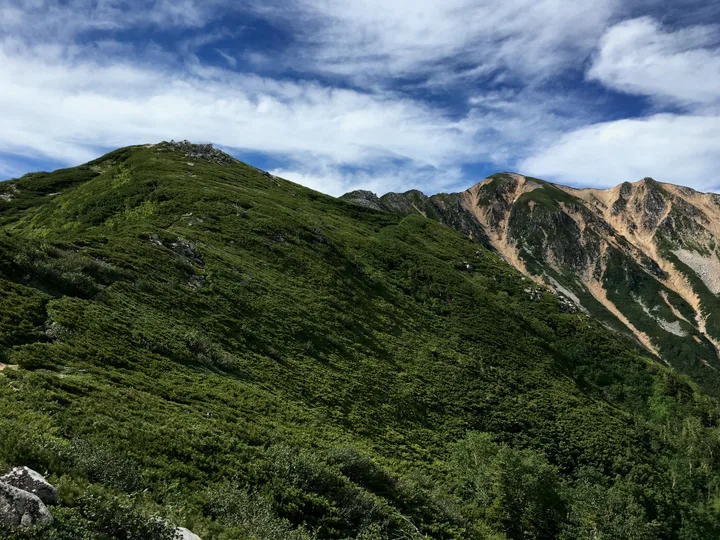 ハイマツ中心の山