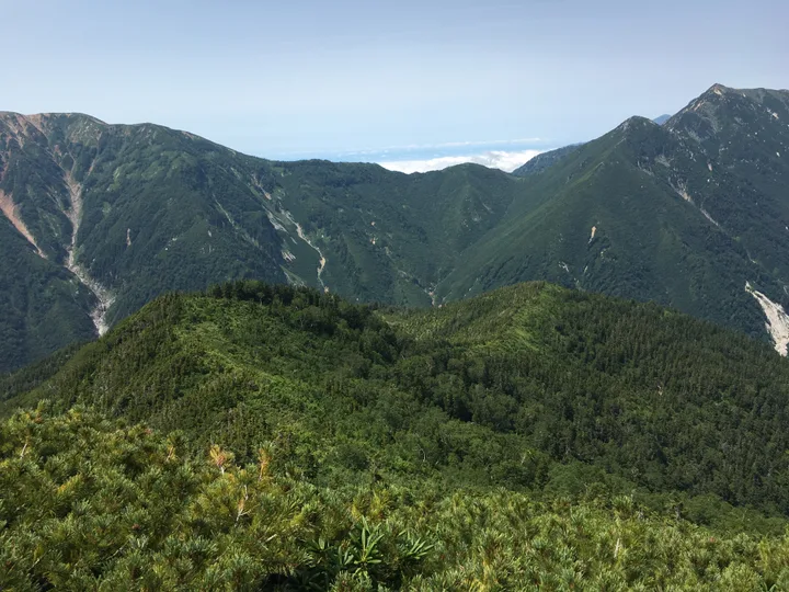 ハイマツ、潅木、高木の生えた尾根を見下ろす