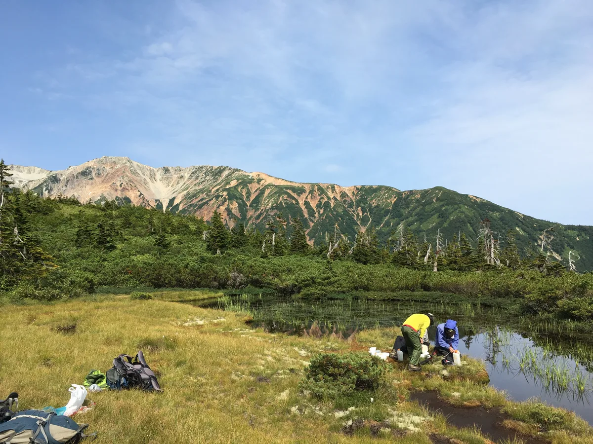 ひらけた湿原の池塘で水を汲む人たち