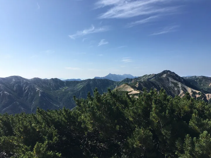 ハイマツの向こうに山の稜線